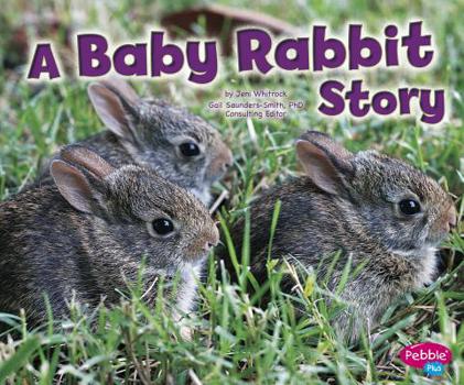 Paperback A Baby Rabbit Story Book