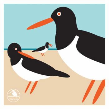 Cards I Like Birds: Oyster Catcher Boxed Notecards Book