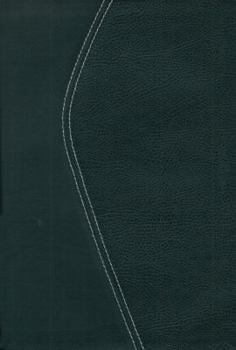 Leather Bound Study Bible-TNIV Book