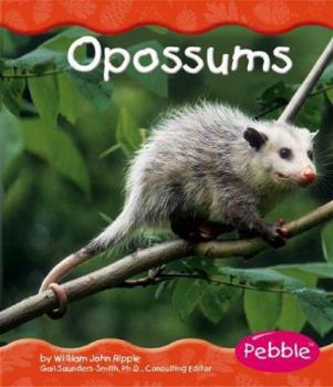Hardcover Opossums Book