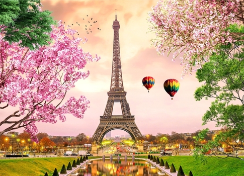 Misc. Brain Tree - Paris 1000 Pieces Jigsaw Puzzle for Adults: With Droplet Technology for Anti Glare & Soft Touch Book