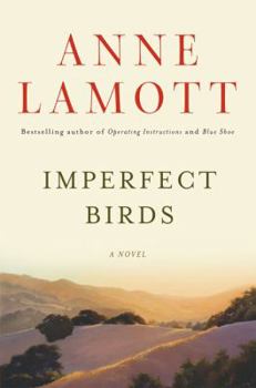 Hardcover Imperfect Birds Book