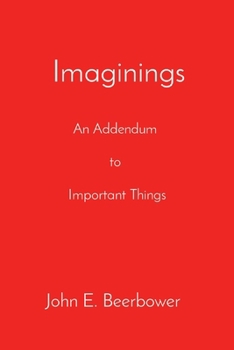 Paperback Addendum: Important Things Book