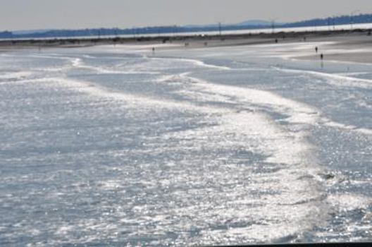 Paperback Inside the Pinball Machine Book