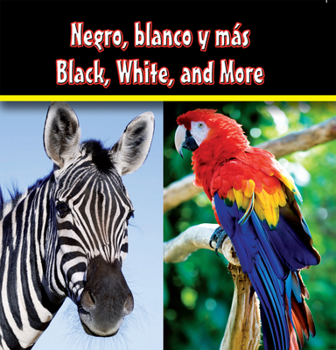 Board book Negro, Blanco Y Mas: Black, White, and More [Spanish] Book