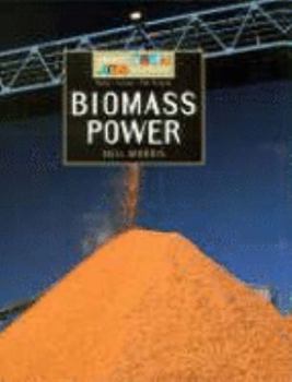 Hardcover Biomass Power: Facts, Issues, The Future (Energy Sources) Book