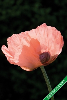 Garden Planner: Poppy blossom. Format A5, 120 pages, fine grey lined. Journal, diary, notebook and garden planner for everything that happens in the garden throughout the year.