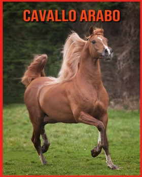 Cavallo Arabo: Fatti sorprendenti sui Cavallo Arabo