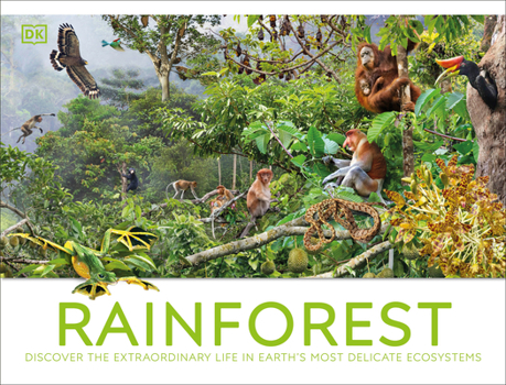 Hardcover Rainforest Book
