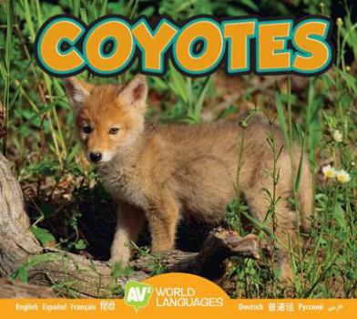 Coyotes - Book  of the Animals in My Backyard