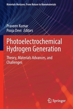 Paperback Photoelectrochemical Hydrogen Generation: Theory, Materials Advances, and Challenges Book