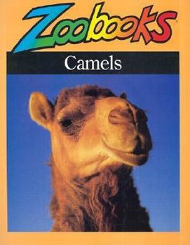 Camels (Zoobooks Series) - Book  of the Zoobooks Series