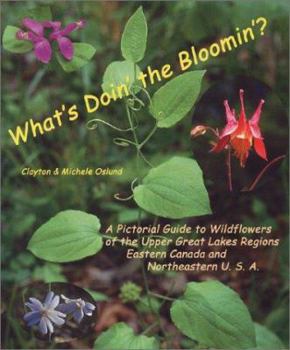 Paperback What's Doin' the Bloomin'?: A Pictorial Field Guide to Wildflowers, by Season, of the Upper Great Lakes Regions, Eastern Canada and Northeastern U Book