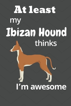 At least My Ibizan Hound thinks I’m awesome: For Ibizan Hound Dog Fans