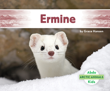 Ermine - Book  of the Abdo: Arctic Animals