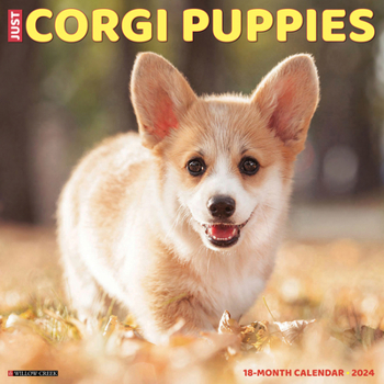 Calendar Just Corgi Puppies 2024 12 X 12 Wall Calendar Book