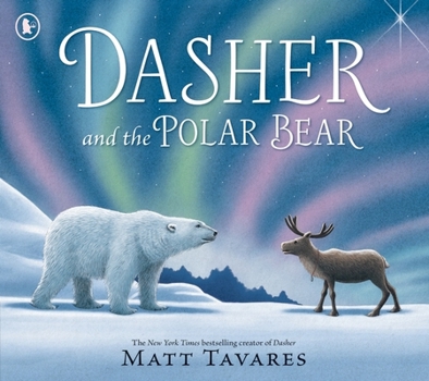 Dasher and the polar bear