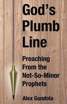 Paperback God's Plumb Line: Preaching From the Not-So-Minor Prophets Book