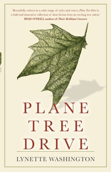Paperback Plane Tree Drive Book
