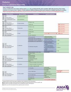 Cards Erc-ICD-10 Chronic Disease 2019-- Diabetes - Obesity/Hypertension/Hyperlipidemia Book
