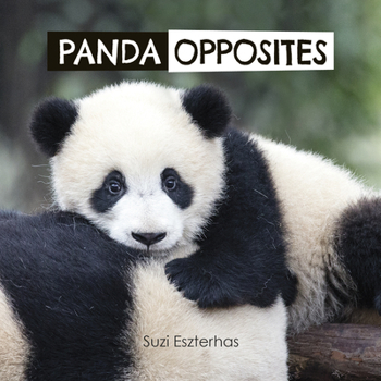 Board book Panda Opposites Book