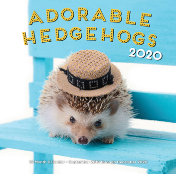 Calendar Adorable Hedgehogs 2020: 16-Month Calendar - September 2019 Through December 2020 Book
