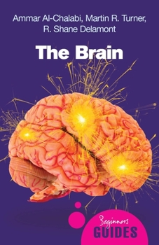 The Brain: A Beginner's Guide - Book  of the Beginner's Guide (Oneworld Publications)
