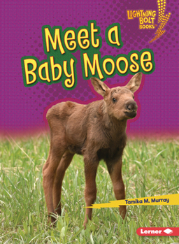 Paperback Meet a Baby Moose Book