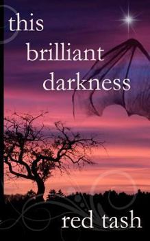 Paperback This Brilliant Darkness Book