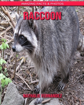 Paperback Raccoon: Amazing Facts & Photos Book