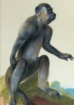 Carnet Ligna(c), Macaque