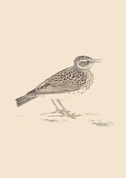 Paperback Sonnets for Birds Book