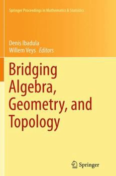 Paperback Bridging Algebra, Geometry, and Topology Book