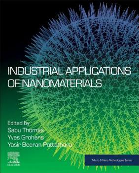 Paperback Industrial Applications of Nanomaterials Book