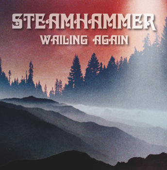 Vinyl Steamhammer   Wailing Again Book
