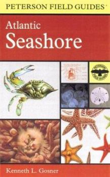 A Field Guide to the Atlantic Seashore: From the Bay of Fundy to Cape Hatteras (Peterson Field Guides(R)) - Book #24 of the Peterson Field Guides