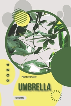 Umbrella: Simply beginners guide