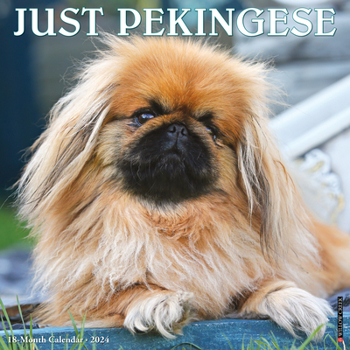 Calendar Just Pekingese 2024 12 X 12 Wall Calendar Book