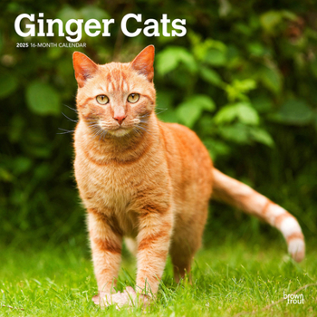 Calendar Ginger Cats 2025 12 X 24 Inch Monthly Square Wall Calendar Plastic-Free Book