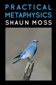 Paperback Practical Metaphysics Book
