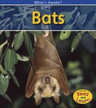 Paperback Bats Book