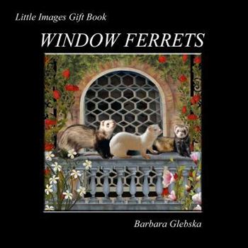 Paperback Window Ferrets Book