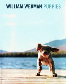 Paperback William Wegman Puppies Book