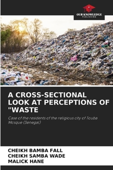 Paperback A Cross-Sectional Look at Perceptions of "Waste Book