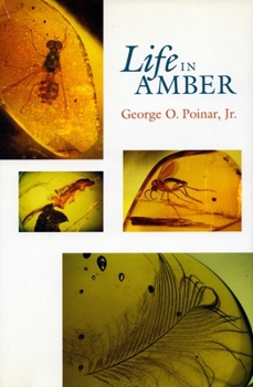 Hardcover Life in Amber Book