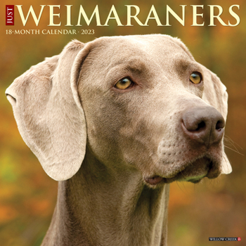 Calendar Just Weimaraners 2023 Wall Calendar Book