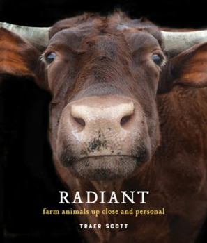 Hardcover Radiant: Farm Animals Up Close and Personal Book