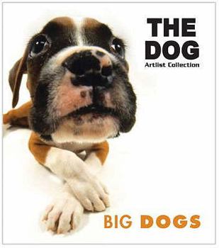 Paperback Big Dogs Book