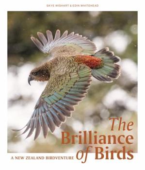 Hardcover The Brilliance of Birds Book