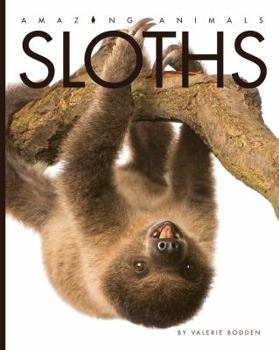 Paperback Sloths Book